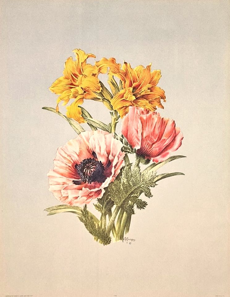 Bouquet of poppies and orange lilies — after E. A. Séguy, Sidney Z. Lucas, New York