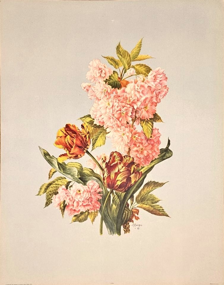 Bouquet of pink hydrangeas and tulips — after E. A. Séguy, Sidney Z. Lucas, New York