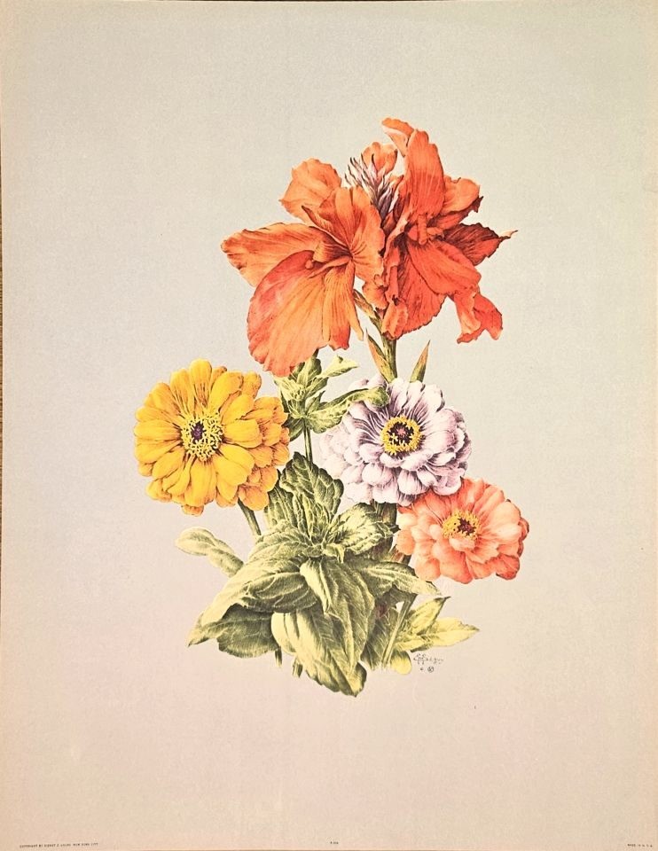Bouquet of canna, zinnias and asters — after E. A. Séguy, Sidney Z. Lucas, New York