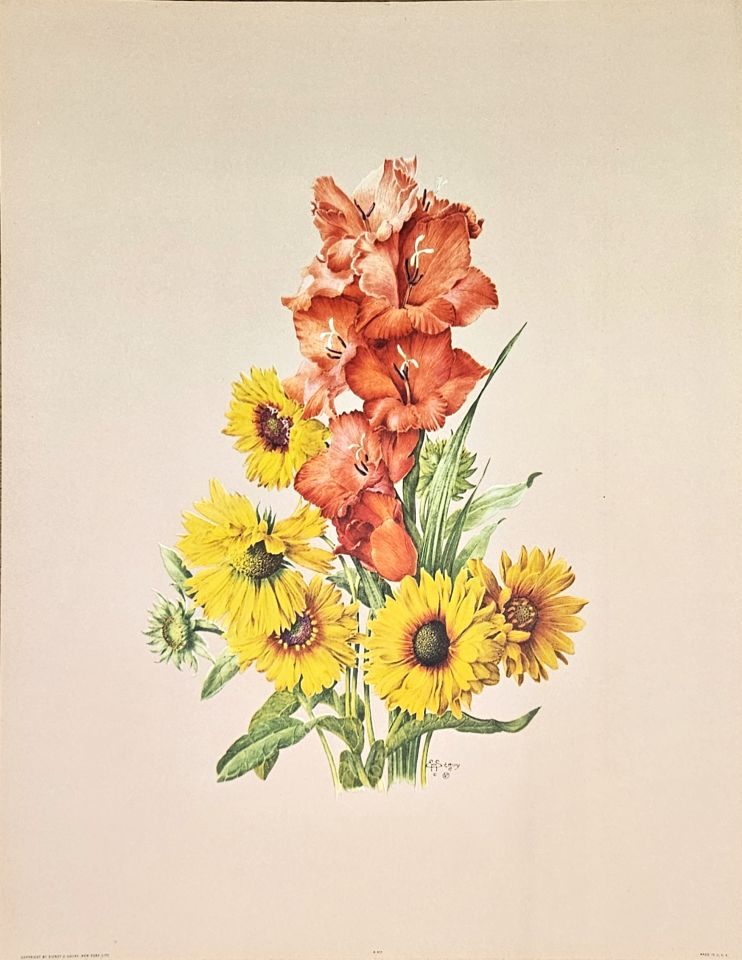 Bouquet of gladioli and sunflowers — after E. A. Séguy, Sidney Z. Lucas, New York