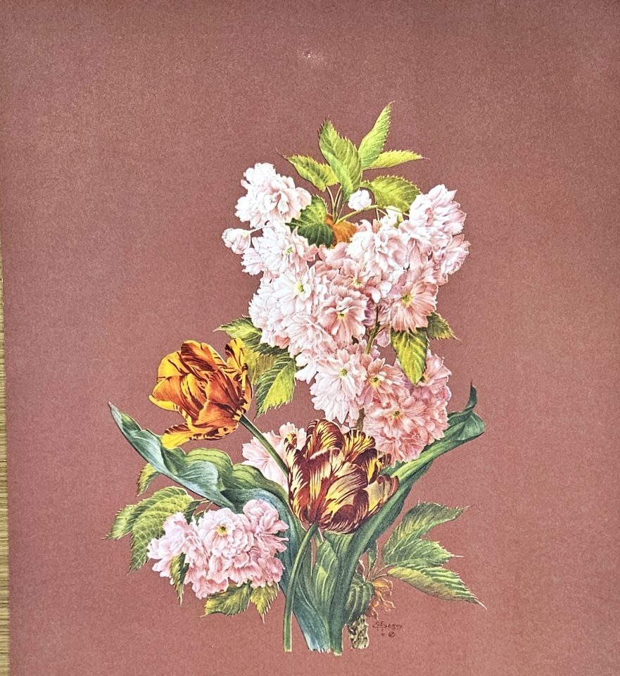 Peonies and tulips on maroon ground — after E. A. Séguy, Sidney Z. Lucas, New York