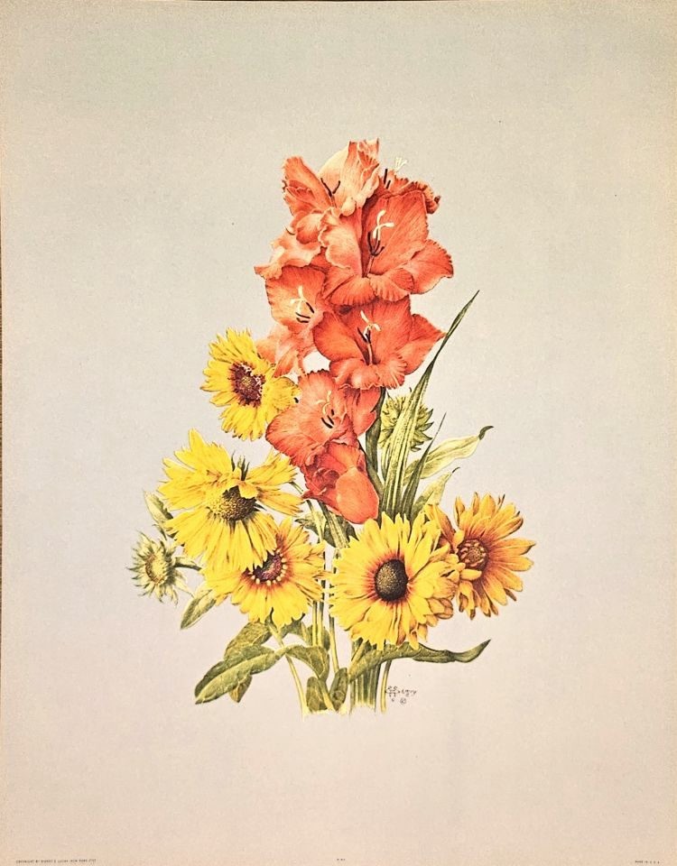 Gladioli and sunflowers bouquet — after E. A. Séguy, Sidney Z. Lucas, New York