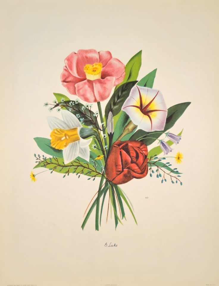 Bouquet of camellia, narcissus and morning glory — after J. L. Prévost, Sidney Z. Lucas, New York