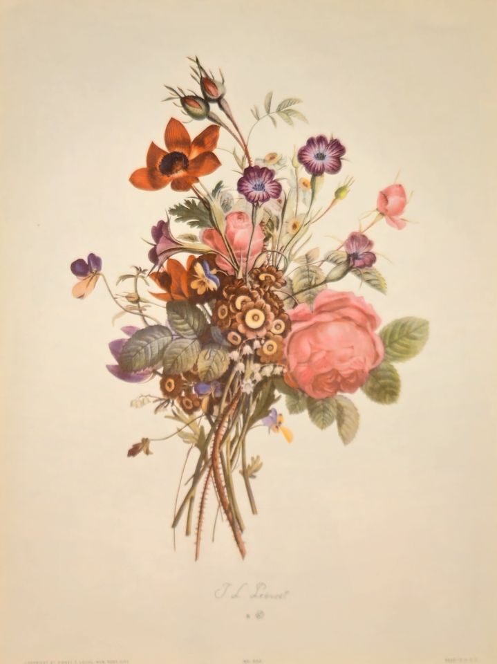 Mixed flower bouquet with rose — after J. L. Prévost, Sidney Z. Lucas, New York