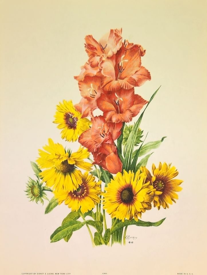 Sunflowers and red gladiolus bouquet — after J. L. Prévost, Sidney Z. Lucas, New York