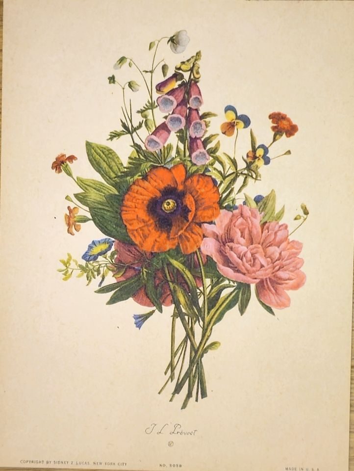 Bouquet of poppy, peony and foxglove — after J. L. Prévost, Sidney Z. Lucas, New York