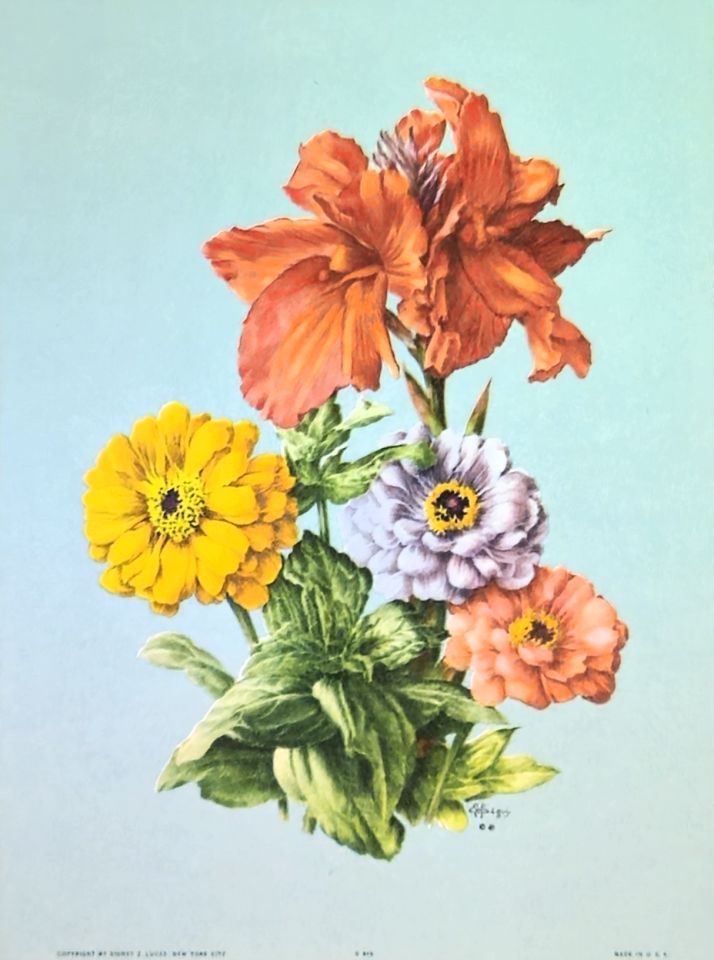 Amaryllis and zinnias on blue ground — after J. L. Prévost, Sidney Z. Lucas, New York
