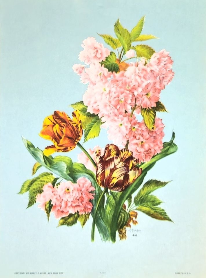 Cherry blossom and tulips on blue — after J. L. Prévost, Sidney Z. Lucas, New York
