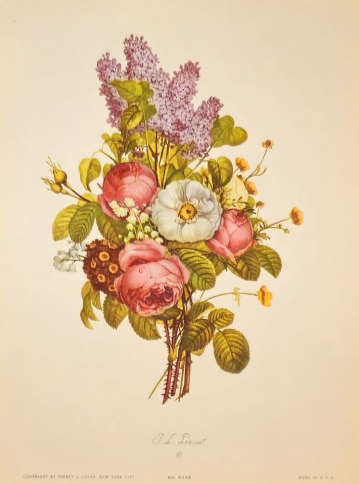 Bouquet of roses, lilac and anemones — after J. L. Prévost, Sidney Z. Lucas, New York