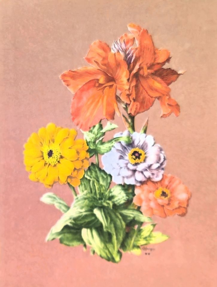 Hibiscus and zinnias on pink ground — after J. L. Prévost, Sidney Z. Lucas, New York