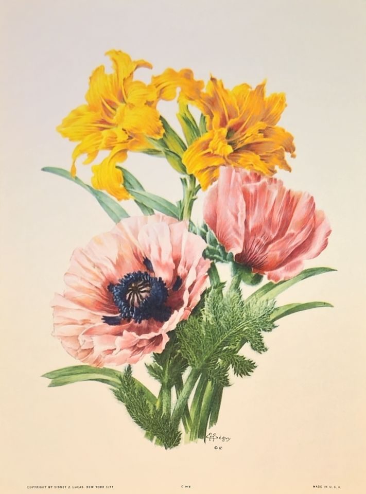 Poppies and lilies on cream ground — after J. L. Prévost, Sidney Z. Lucas, New York