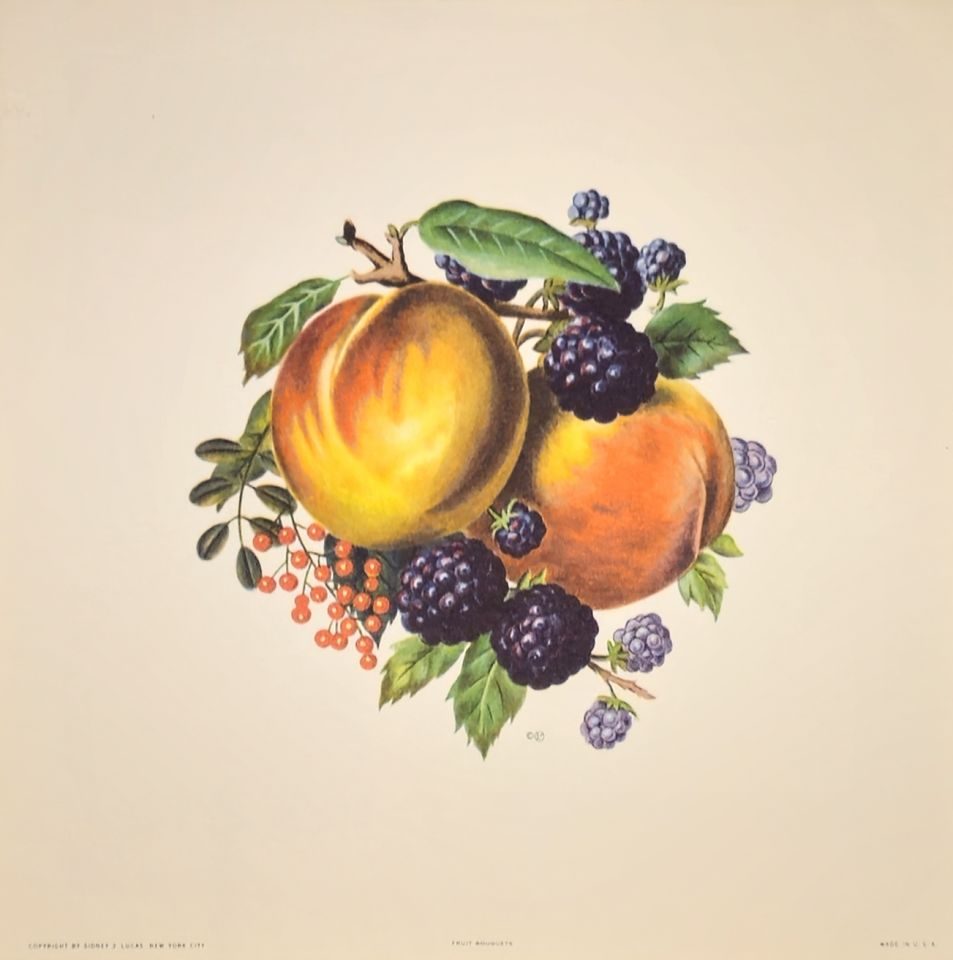 FRUIT BOUQUETS — after J. L. Prévost, Sidney Z. Lucas, New York