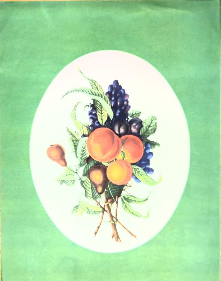 Fruit still life in oval — after J. L. Prévost, Sidney Z. Lucas, New York