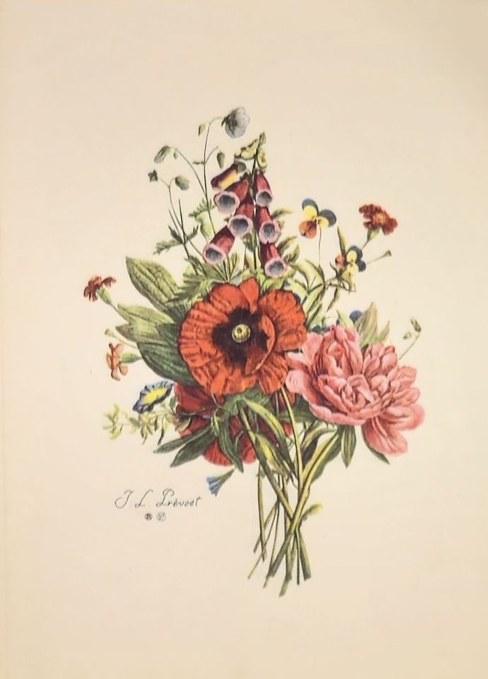 Bouquet of poppy, peony and wildflowers — after J. L. Prévost, Sidney Z. Lucas, New York