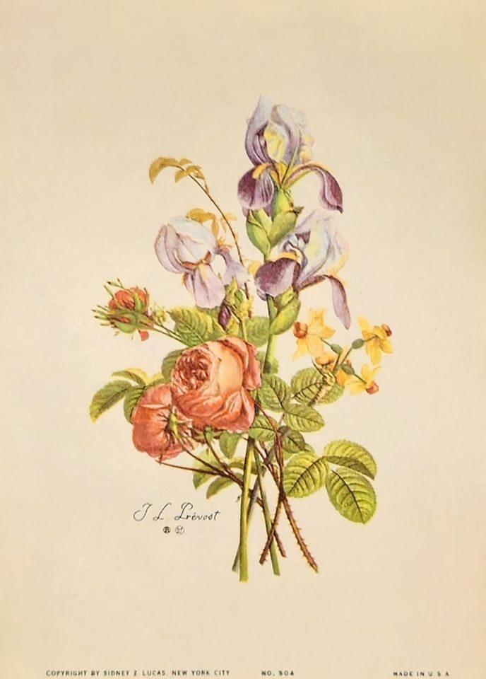 Bouquet of roses and irises — after J. L. Prévost, Sidney Z. Lucas, New York