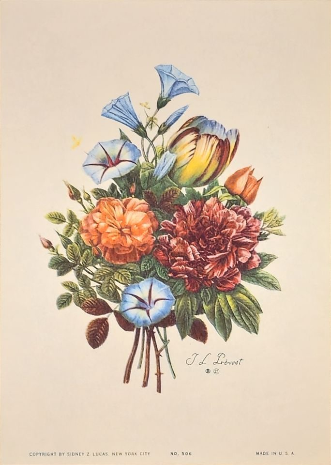 Bouquet of morning glories, tulip, peony — after J. L. Prévost, Sidney Z. Lucas, New York